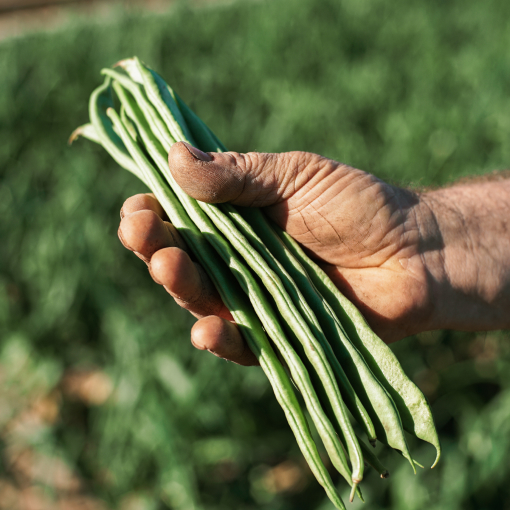 img_top_left_reserva